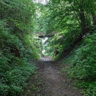 Swannington Incline copyright Liz Roberts
